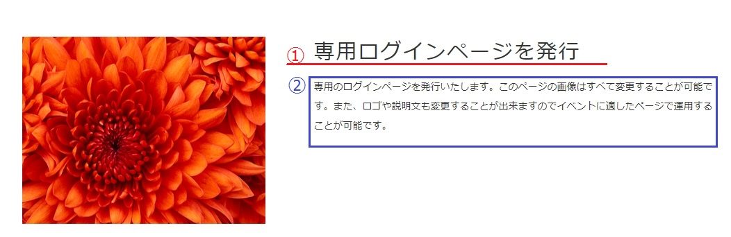 説明文